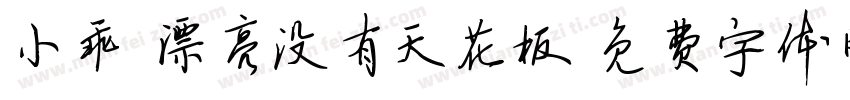 小乖 漂亮没有天花板字体转换